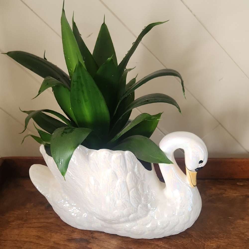 Vintage  White Iridescent Ceramic Swan Planter
